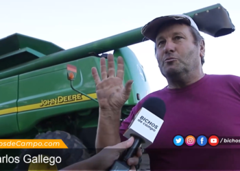 Carlos Gallego siempre apaga la radio para poder escuchar cualquier ruido extraño en la cosechadora: “El único oficio que disfruto es estar con la maquina”
