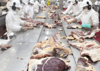 Luego del chasco de la ex ONCCA, ahora es la Aduana la que denunció a casi 20 frigoríficos exportadores por maniobras para tributar menos