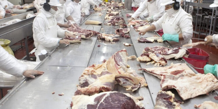 Luego del chasco de la ex ONCCA, ahora es la Aduana la que denunció a casi 20 frigoríficos exportadores por maniobras para tributar menos