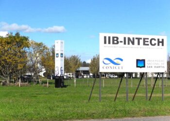 ¡Devuelvan el carnero! Investigadores del Intech Chascomús preocupados por la desaparición de un ovino usado en estudios genéticos