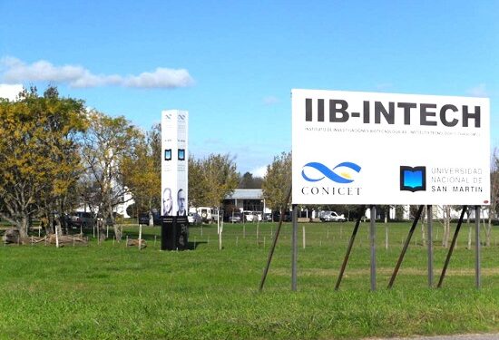 ¡Devuelvan el carnero! Investigadores del Intech Chascomús preocupados por la desaparición de un ovino usado en estudios genéticos