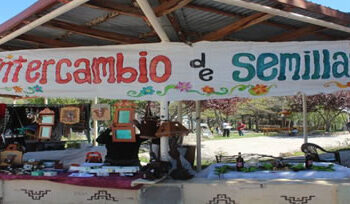 Existen en el país 500 experiencias de rescate de semillas nativas, pero la mayoría de ellas siente que actúa al margen de la ley