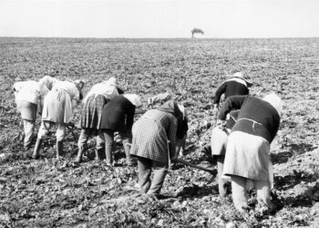 La Peña del Colorado: Un breve texto con seudónimo en Tilcara y el retrato de una mujer zafrera