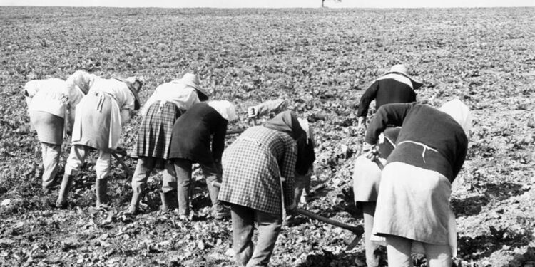 La Peña del Colorado: Un breve texto con seudónimo en Tilcara y el retrato de una mujer zafrera