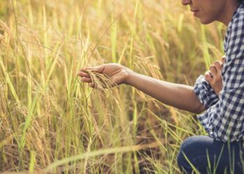 Agroemprendimientos de mujeres con enfoque agroecológico recibirán un aporte estatal de 60 millones de pesos