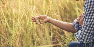 Agroemprendimientos de mujeres con enfoque agroecológico recibirán un aporte estatal de 60 millones de pesos