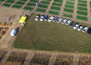 Tres años después, el gobierno objetó la compra de Nidera por parte de Syngenta: Podría obligarla a desinvertir en el negocio de semillas de girasol