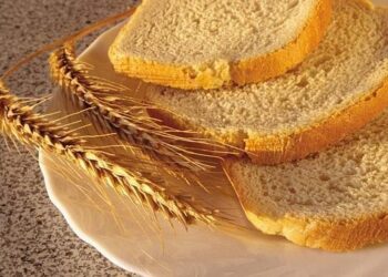 Manual básico para entender por qué el trigo no es determinante en el precio del pan