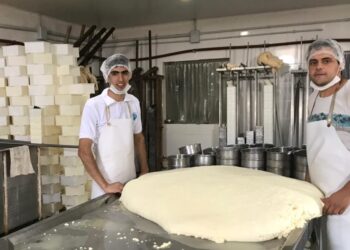 Benjamin Romaniuk elabora quesos en el paraje De Bary: “Aprendí el oficio de los queseros viejos y luego me fui perfeccionando”