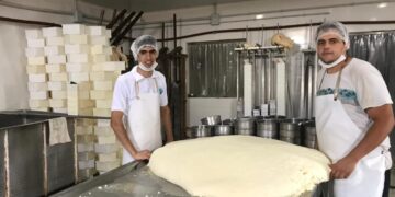 Benjamin Romaniuk elabora quesos en el paraje De Bary: “Aprendí el oficio de los queseros viejos y luego me fui perfeccionando”