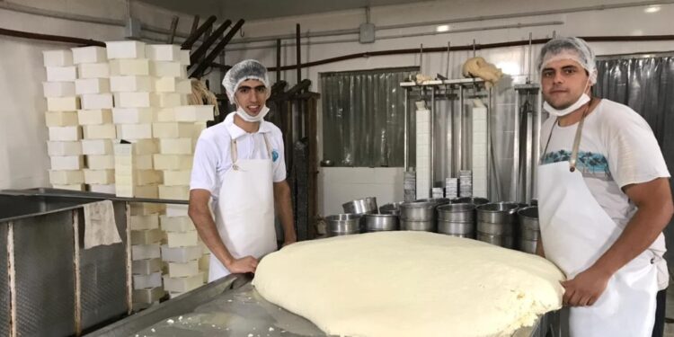 Benjamin Romaniuk elabora quesos en el paraje De Bary: “Aprendí el oficio de los queseros viejos y luego me fui perfeccionando”