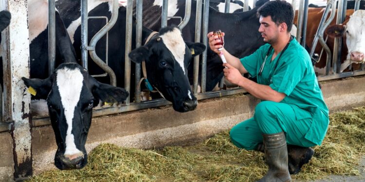 AgroEmpresas: Biogénesis Bagó lanzó una plataforma para vender sus productos veterinarios con descuentos