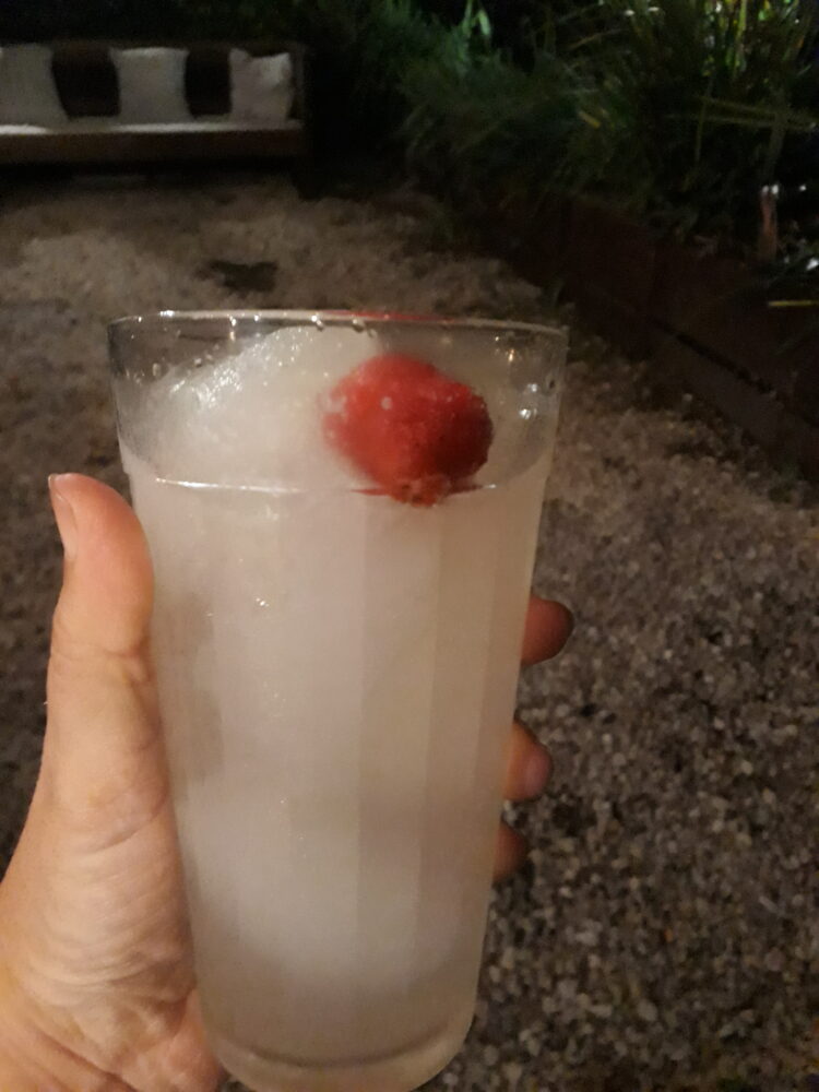 Alcoholes argentos, y no para las manos: En Azul, dos amigas se especializan en mostrar las cualidades de las nuevas bebidas nacionales