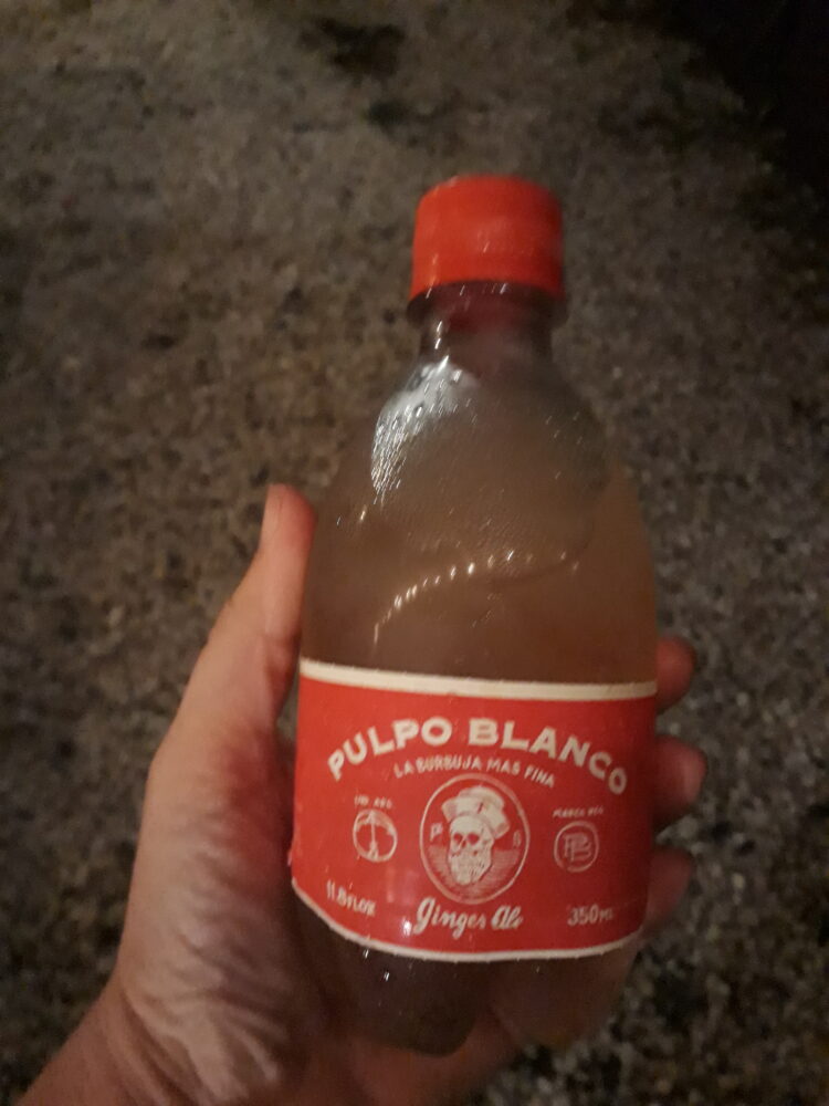 Alcoholes argentos, y no para las manos: En Azul, dos amigas se especializan en mostrar las cualidades de las nuevas bebidas nacionales