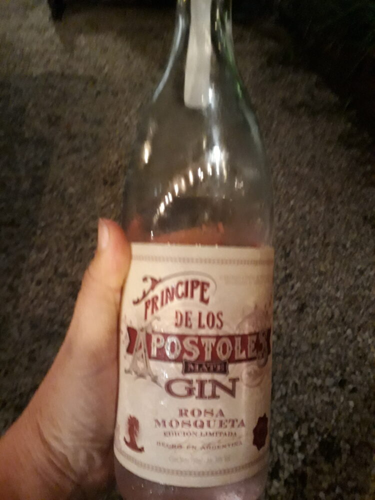 Alcoholes argentos, y no para las manos: En Azul, dos amigas se especializan en mostrar las cualidades de las nuevas bebidas nacionales