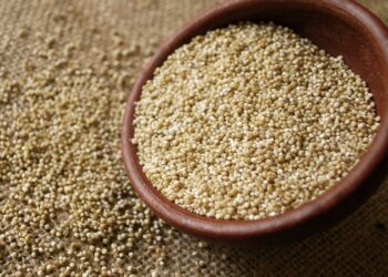 Beba quinua, Biba quínoa: Con apoyo de INTA y Conicet se presentó el primero alimento bebible basado en ese cultivo andino