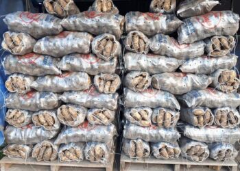 El colmo: Por las restricciones a la importación peligra el abastecimiento de bolsas para empaquetar papas