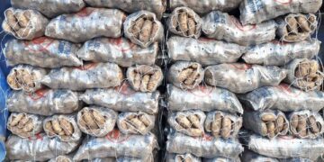 El colmo: Por las restricciones a la importación peligra el abastecimiento de bolsas para empaquetar papas
