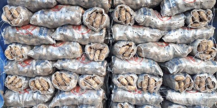 El colmo: Por las restricciones a la importación peligra el abastecimiento de bolsas para empaquetar papas