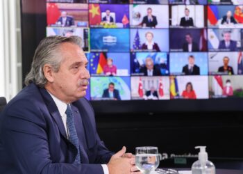 Esquizofrenia: El mismo gobierno argentino que se comprometió a impulsar los biocombustibles para descarbonizar la economía es el que promueve un menor uso de los mismos