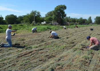 La última innovación cordobesa en materia agropecuaria: Un marco para gestionar el ordenamiento territorial de las áreas periurbanas