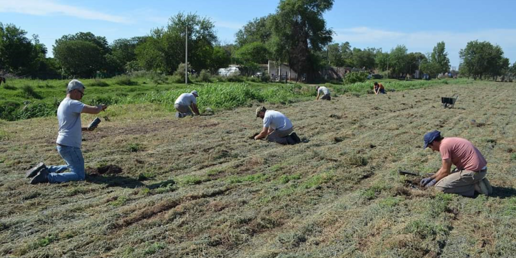 La última innovación cordobesa en materia agropecuaria: Un marco para gestionar el ordenamiento territorial de las áreas periurbanas