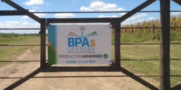 La provincia de Córdoba convoca a emprendimientos Agtech para sumarse al programa de Buenas Prácticas Agrícolas