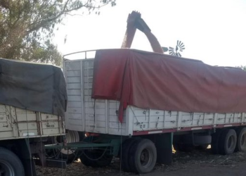 A partir de septiembre la carta de porte finalmente será electrónica: El gobierno comunica la iniciativa esperada hace años por los productores como un avance fiscal contra el sector