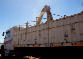 Se oficializó la normativa que dispone el uso obligatorio de la carta de porte electrónica: Cómo funcionará el nuevo sistema