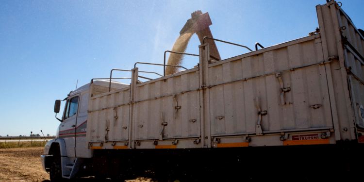 Se oficializó la normativa que dispone el uso obligatorio de la carta de porte electrónica: Cómo funcionará el nuevo sistema