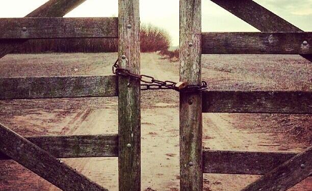 Siguen las buenas noticias: Está virtualmente cerrado el registro de exportaciones de maíz