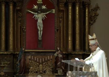 La Conferencia Episcopal Argentina rechazó el proyecto oficialista de biocombustibles porque “implica un franco retroceso en la política ambiental”