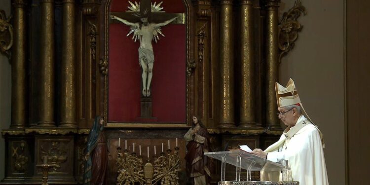 La Conferencia Episcopal Argentina rechazó el proyecto oficialista de biocombustibles porque “implica un franco retroceso en la política ambiental”