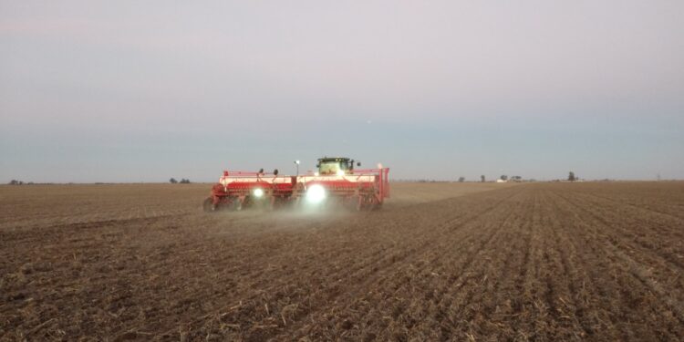 ¿Qué vas a sembrar? La cebada forrajera 2021/22 ya vale más que el trigo pan
