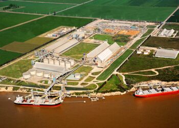 Viterra (ex Glencore) pasó a ocupar el tercer puesto del ranking de exportadores agroindustriales argentinos con la retirada de Vicentin
