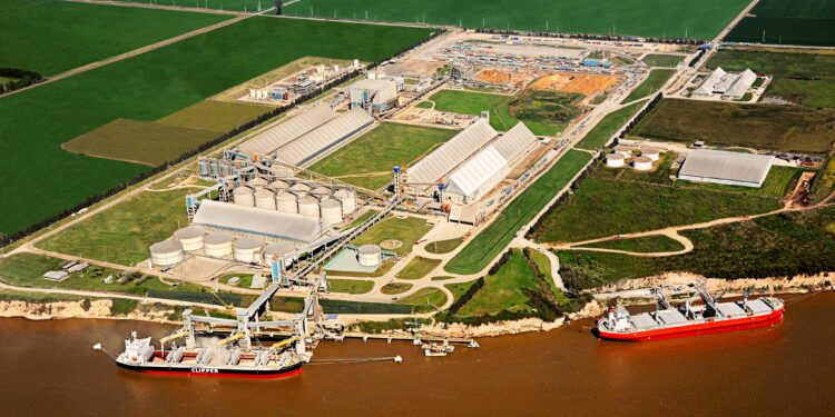 Viterra (ex Glencore) pasó a ocupar el tercer puesto del ranking de exportadores agroindustriales argentinos con la retirada de Vicentin