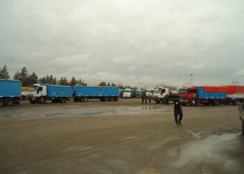 ¿Cuáles son las causas detrás del “infierno” generado por la falta de cupos para comercializar soja?