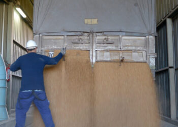 Billetera Soja: La capacidad teórica de pago de la exportación supera en más de 15 u$s/tonelada a la de la industria aceitera