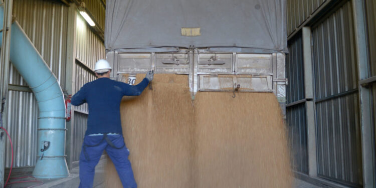 Billetera Soja: La capacidad teórica de pago de la exportación supera en más de 15 u$s/tonelada a la de la industria aceitera