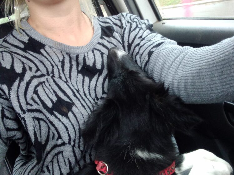 Con 26 años Micaela Guzowski trabaja en el campo familiar y presta servicios agrícolas:  “Si nos dieran más posibilidades, podríamos crecer mucho más”