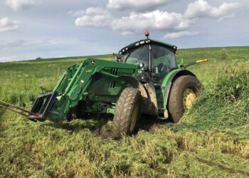 Insólito: Desaparecieron 5,8 millones de hectáreas productivas en EE.UU. y no saben bien cuál es la causa