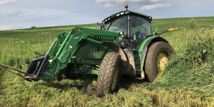 Insólito: Desaparecieron 5,8 millones de hectáreas productivas en EE.UU. y no saben bien cuál es la causa