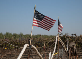 Contra esto competimos: El USDA anuncia nuevo paquete de ayuda extraordinaria para productores estadounidenses