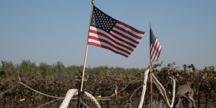 Contra esto competimos: El USDA anuncia nuevo paquete de ayuda extraordinaria para productores estadounidenses