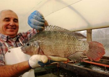Eduardo Catania es el que quizás más sabe sobre acuicultura: una actividad con todo para crecer y poco explorada en la Argentina