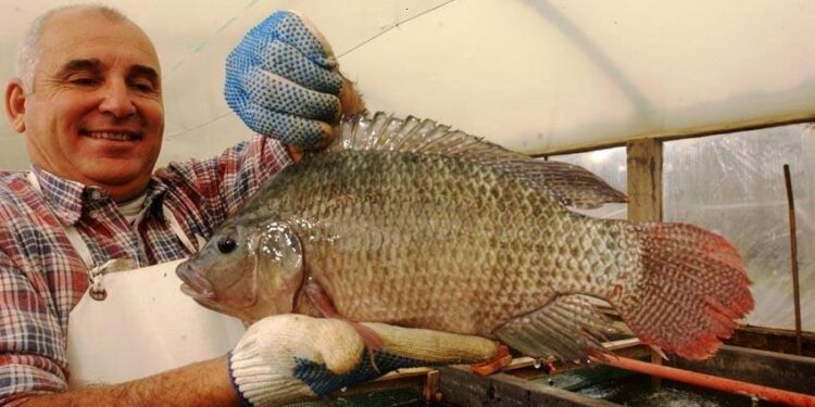 Eduardo Catania es el que quizás más sabe sobre acuicultura: una actividad con todo para crecer y poco explorada en la Argentina