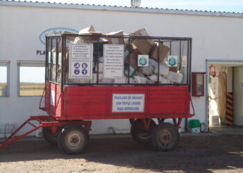 Haciendo números: Comenzó a deteriorarse el poder de compra de los granos argentinos por el “manotazo” estatal