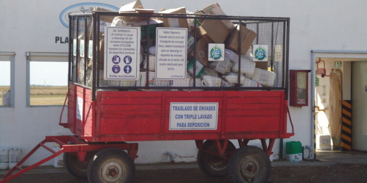 Haciendo números: Comenzó a deteriorarse el poder de compra de los granos argentinos por el “manotazo” estatal