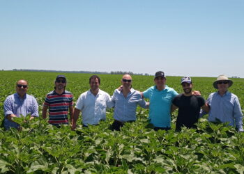 ¿Para qué armar un fideicomiso agropecuario?