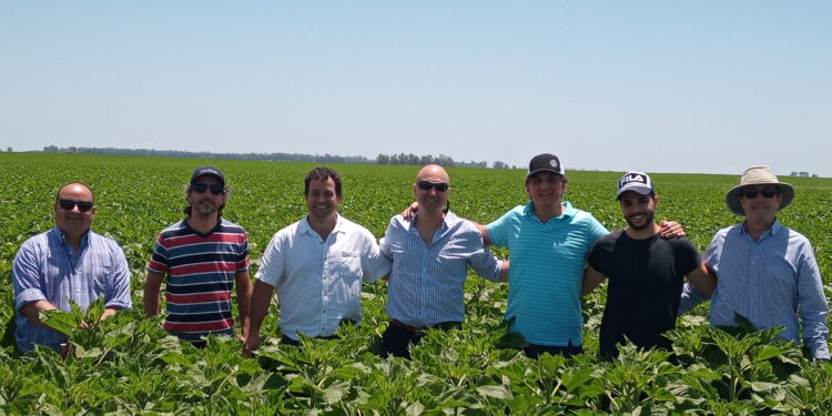 ¿Para qué armar un fideicomiso agropecuario?